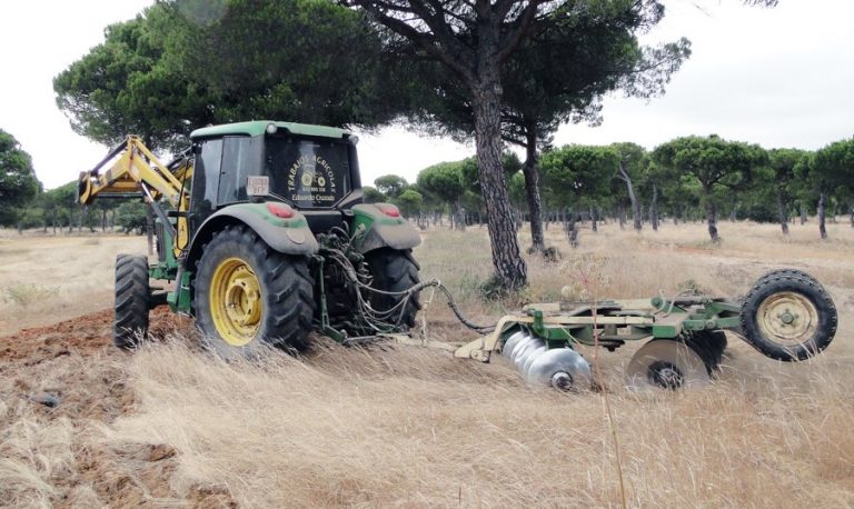 El Ayuntamiento de Moguer comienza a gradear los cortafuegos en sus montes ante la “dejadez” de la Junta