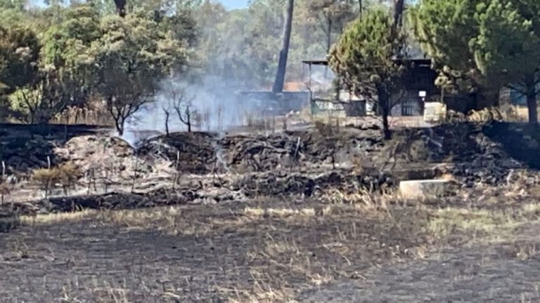 El incendio extinguido este domingo en Cartaya afectó a 1,5 hectáreas