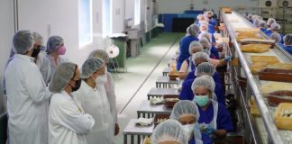 Mujeres de Ayamonte se forman en elaboración de conservas en ‘Pesasur’ y ‘Conservas Concepción’