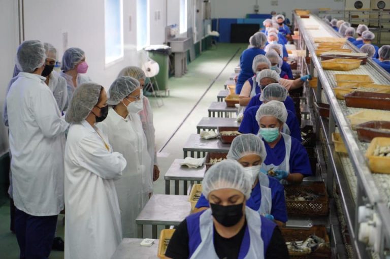Mujeres de Ayamonte se forman en elaboración de conservas en ‘Pesasur’ y ‘Conservas Concepción’