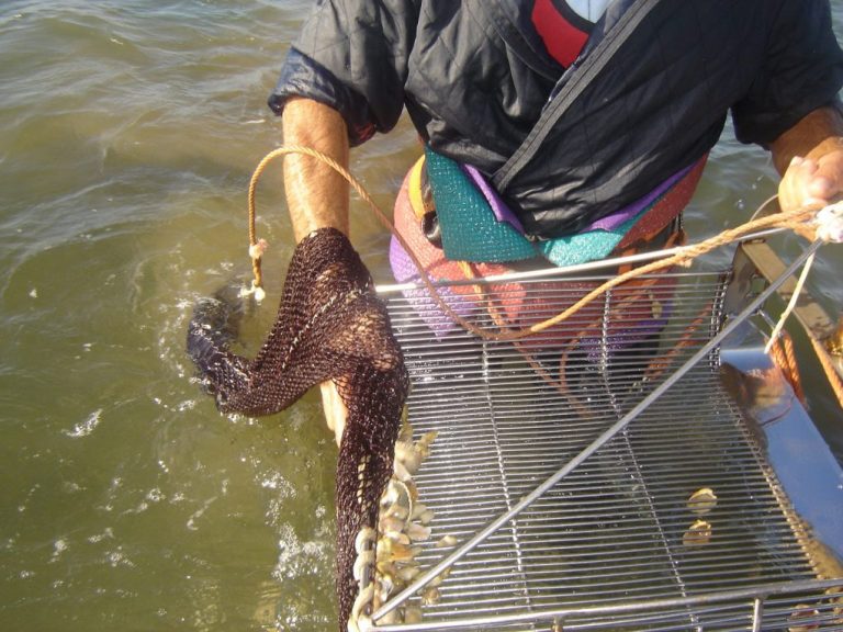 Las Asociaciones de Mariscadores Artesanales a Pie de Huelva unen esfuerzos para crear una Federación
