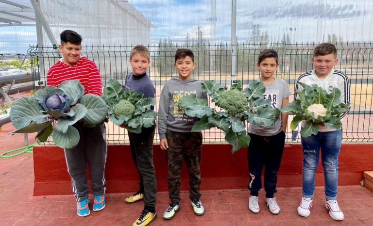 Un huerto escolar permite a alumnos de Almonte donar 300 kilos de alimentos a familias vulnerables