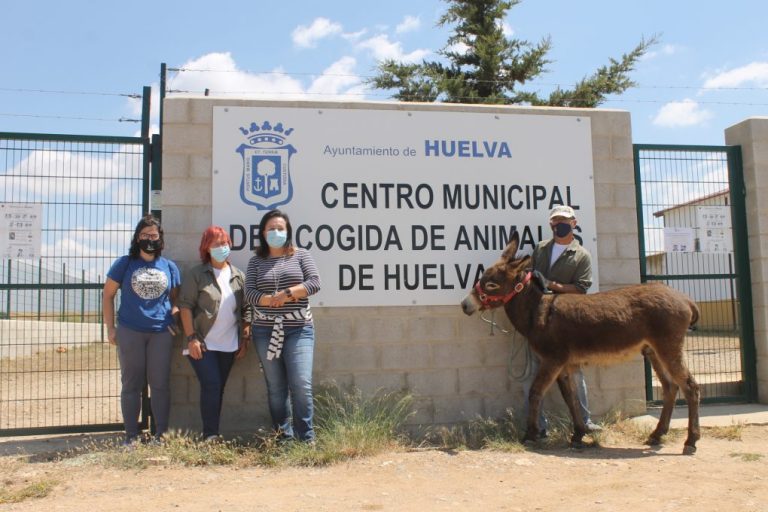El Ayuntamiento de Huelva dona Galileo a la asociación ‘El burrito feliz’