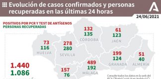 Huelva (19), Cartaya (10) y Almonte (8), municipios más afectados por los 73 casos de este jueves