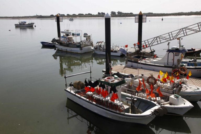 Cartaya traslada a la Junta las necesidades del puerto de El Rompido