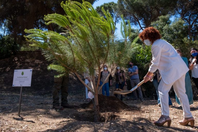 Diputación participa en #UnÁrbolPorEuropa con la plantación de un árbol en nombre de la provincia de Huelva