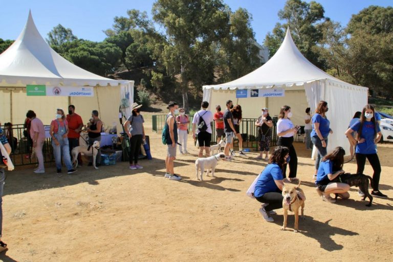 Una docena de protectoras animan a adoptar mascotas en la I Feria de este tipo celebrada en Huelva