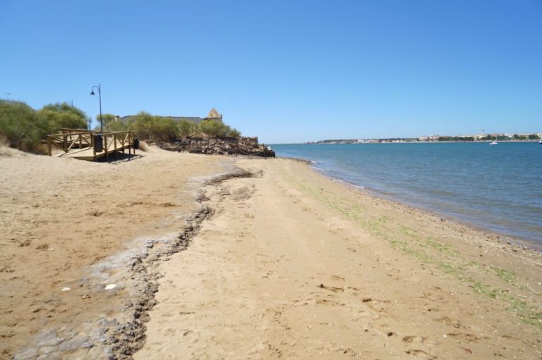 Ayamonte inaugura su primera playa canina, con más de 200 metros de extensión