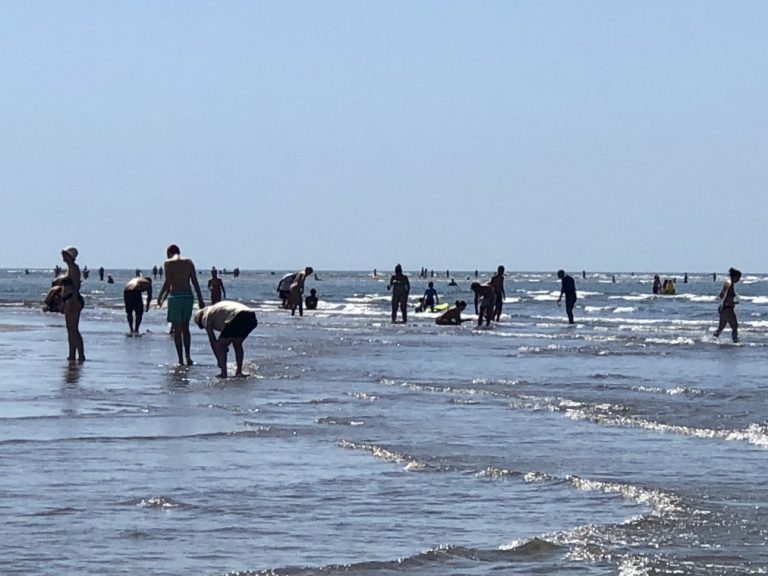 Ayamonte se suma a la campaña contra la captura ilegal de coquinas por bañistas en la playa