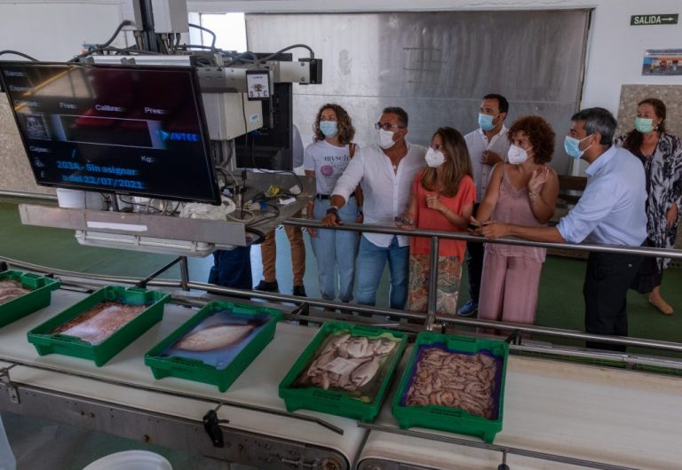 La Lonja de Ayamonte, un ejemplo de innovación y pesca sostenible