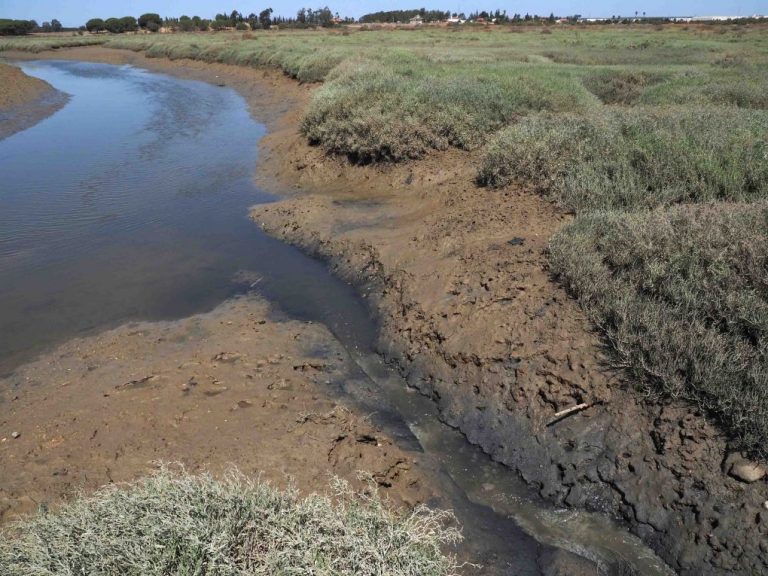 El Ayuntamiento de Cartaya informa a los vecinos afectados por hedores sobre sus gestiones en busca de una solución