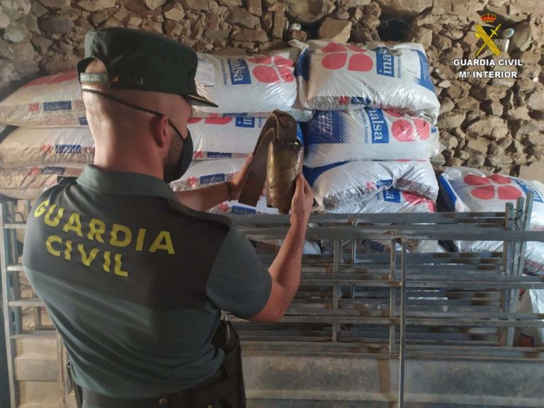 Cinco detenidos en La Nava por el robo de sacos de pienso y material diverso de labores ovinas