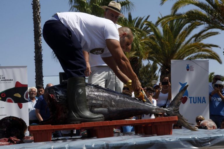 Isla Cristina dedica este año sus Jornadas del Atún a las ‘tonnare’ o almadrabas italianas