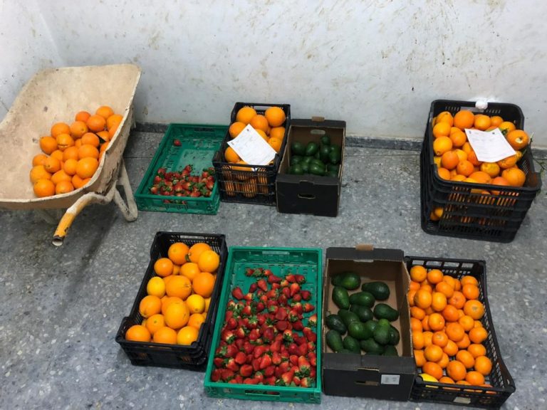 La Policía Local de Huelva incauta de enero a junio 12.000 kilos de alimentos en venta ambulante ilegal