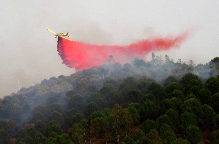Investigan a dos personas por un incendio forestal en El Granado el pasado 14 de agosto