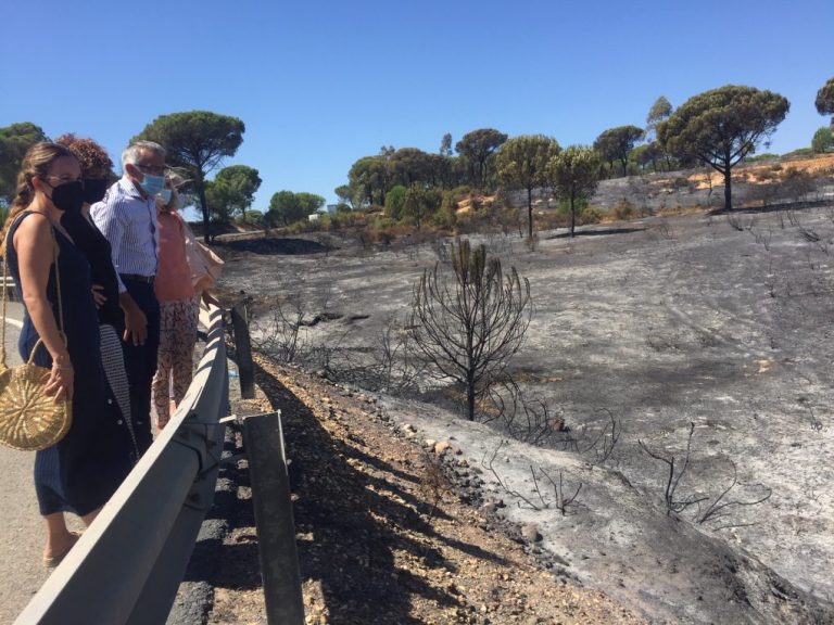 Diputación y Subdelegación llaman a «no bajar la guardia» ante los incendios forestales en Huelva