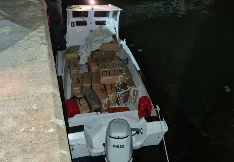 Intervienen mil kilos de hachís y 900 plantas de marihuana en dos operaciones en El Portil y La Palma