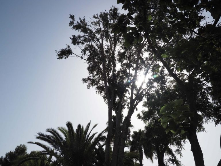 AEMET mantiene activo para este domingo el aviso rojo por calor en el Condado y el Andévalo de Huelva