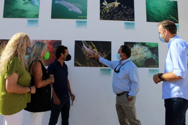 El Rompido muestra la ‘Vida Submarina en El Piedras’ en una exposición permanente