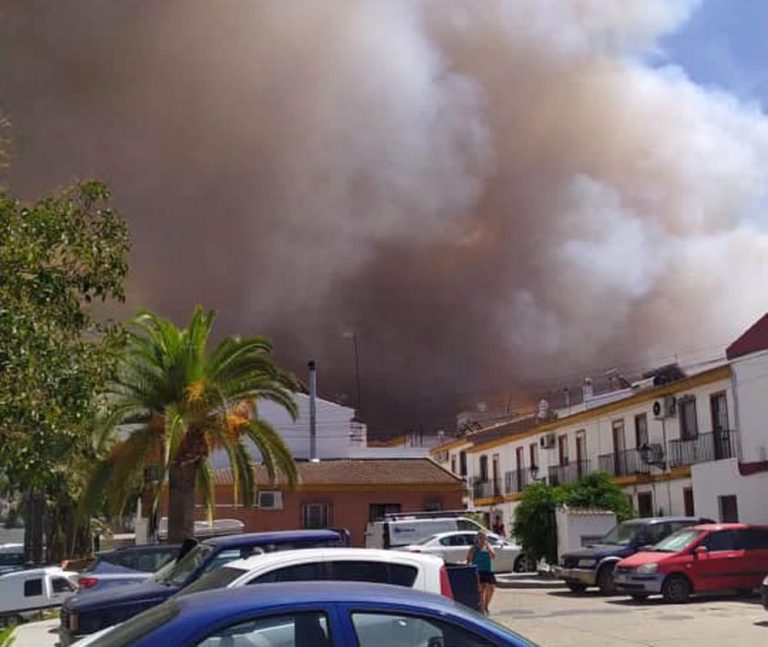 El Gobierno declara Bonares y Lucena zonas afectadas por emergencias por los graves incendios de la pasada semana