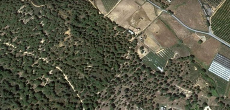 Desmantelan un botellón en un circuito de motocross ubicado junto al pinar de Cartaya