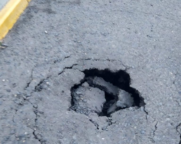 Vecinos de Pinares de Lepe se concentran frente al Ayuntamiento para exigir mejoras en la zona