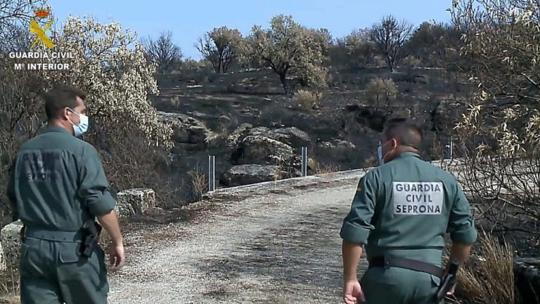 Detienen a un hombre por un incendio intencionado en Hinojos
