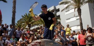 La gastronomía centra el II Foro de Turismo Marinero de Isla Cristina