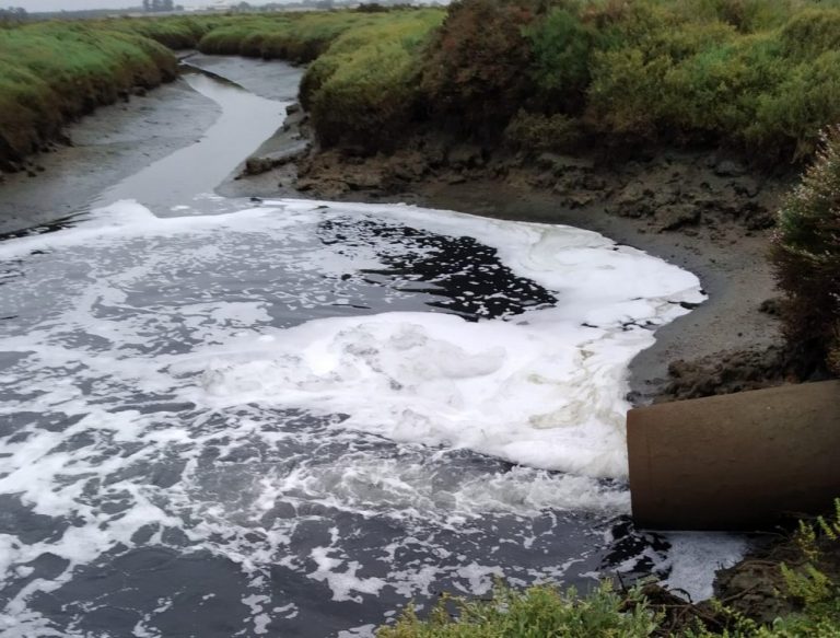 Denuncian vertidos de aguas fecales en el Paraje Natural Marismas de Isla Cristina y Ayamonte