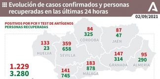 Huelva (29), Cartaya (12) y Ayamonte (11), municipios más afectados por los 133 casos de este jueves