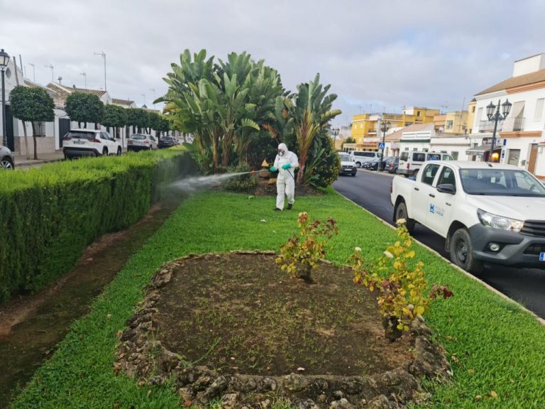 Intensifican en Lepe el tratamiento contra los mosquitos tras detectarse un caso de Virus del Nilo hace una semana