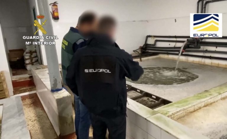 Cuatro detenidos y 16 toneladas de moluscos intervenidas, en una operación contra el marisqueo ilegal