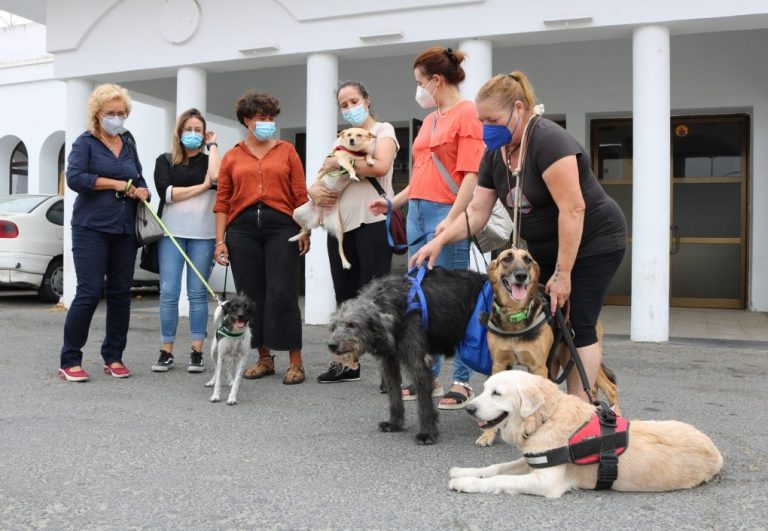 Cartaya inicia un proyecto pionero de terapia con perros para víctimas de violencia machista