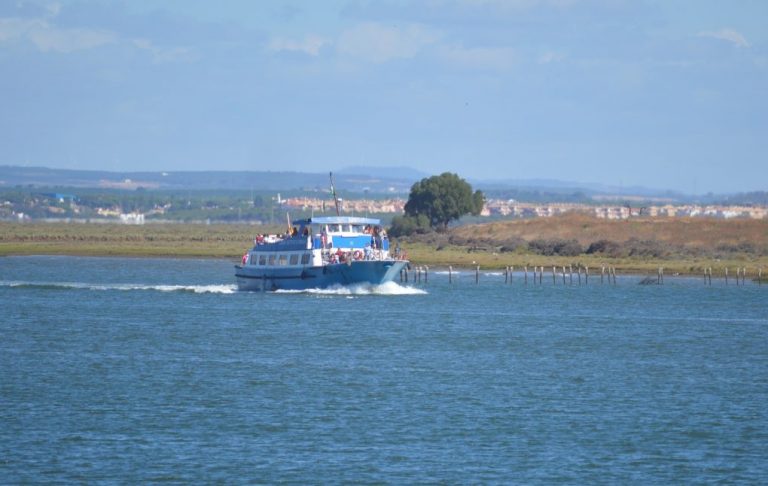 El servicio de canoas de Punta a Huelva estará activo los fines de semana de septiembre