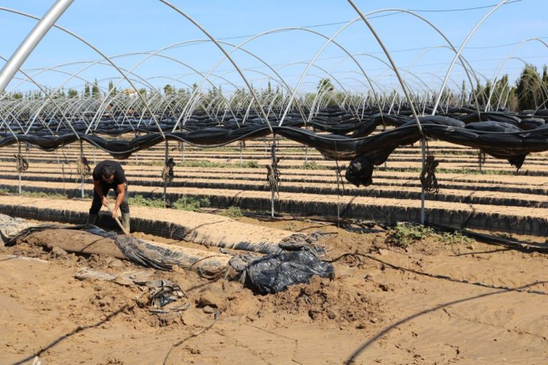 Agricultores de Cartaya afectados por el temporal son atendidos en la Casa de la Cultura