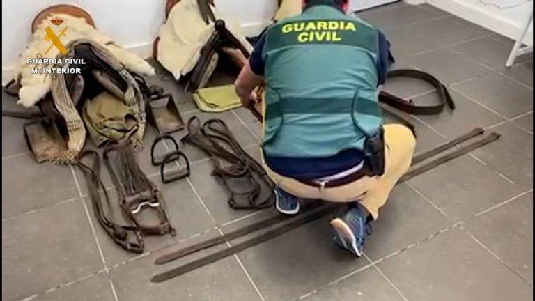 Recuperan material ecuestre valorado en 4.100 euros y robado en una finca de Zufre