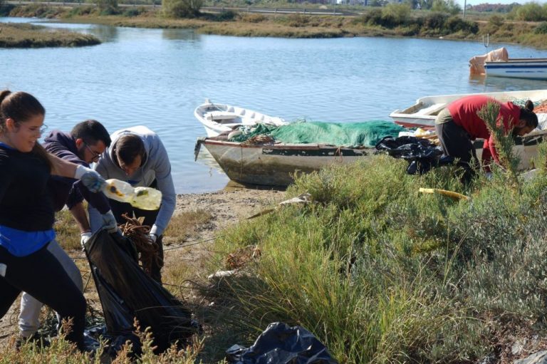 Ayamonte limpia sus marismas como espacios de alto valor ecológico