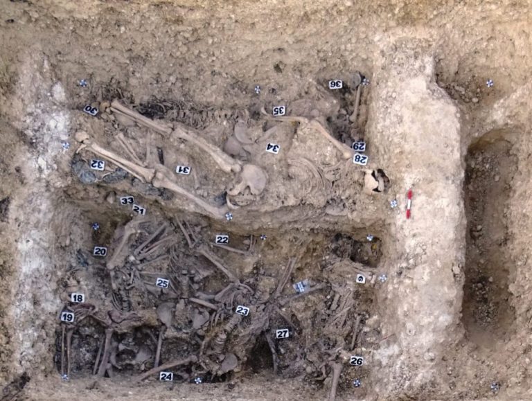 Piden seguir los trabajos en el cementerio de Huelva para dar digna sepultura a quienes yacen amontonadas en la fosa común