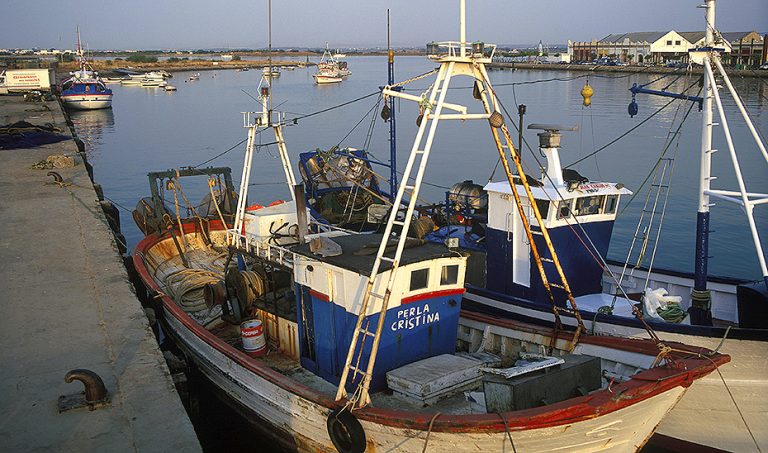 Licitadas las obras de modernización del Puerto de Ayamonte por casi tres millones de euros