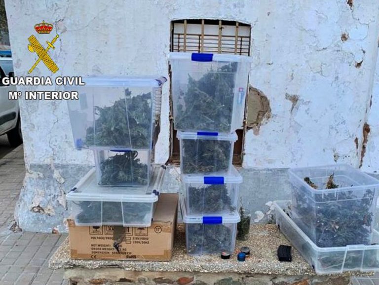 Un detenido en la desarticulación de un punto de venta de droga en El Campillo