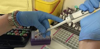 Huelva (24), Palos (11) y Moguer (11), municipios más afectados por los 81 casos de este viernes