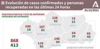 Huelva (36), Moguer (15), Cartaya (11) y Palos (11), municipios más afectados por los 109 casos de este miércoles