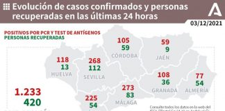 Huelva (30), Cartaya (10), Moguer (8) y Aljaraque (8), municipios más afectados por los 118 casos de este viernes