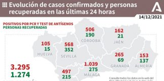 Huelva (38), Aracena (17) y Cumbres Mayores (7), municipios más afectados por los 105 casos de este martes