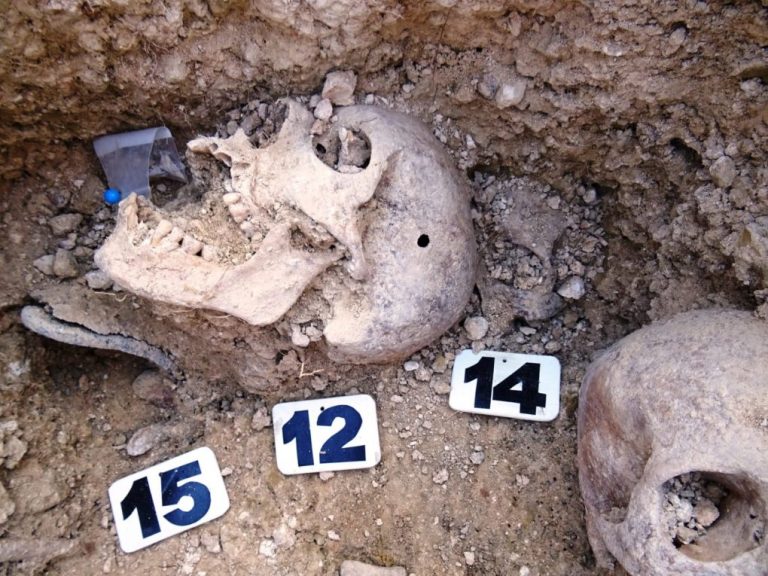 Finalizan los sondeos en las fosas de la represión franquista del cementerio de Huelva con 56 víctimas localizadas