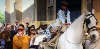 Más de 500 burros participan este domingo en Moguer en la tradicional ‘Burrada navideña’