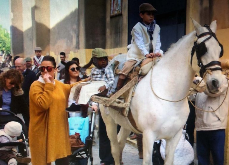 Más de 500 burros participan este domingo en Moguer en la tradicional ‘Burrada navideña’
