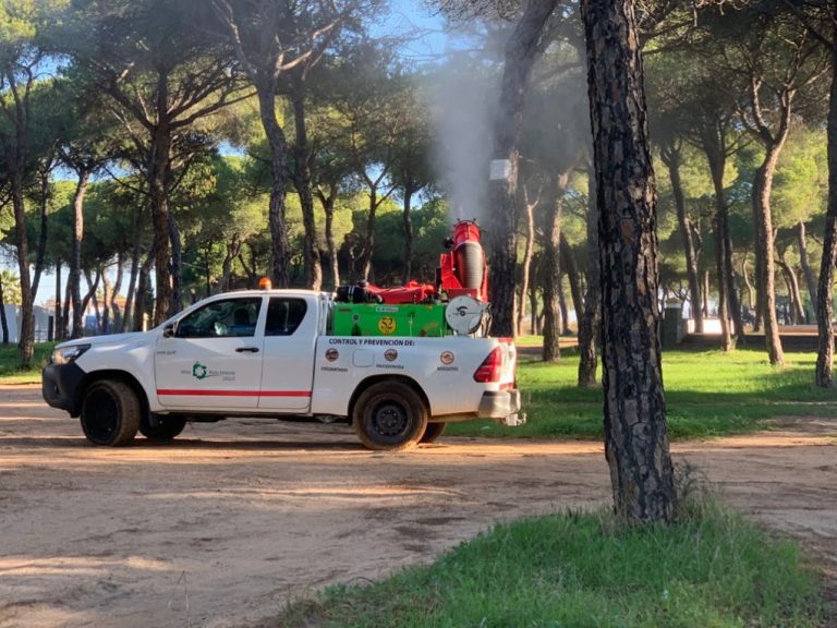 El Ayuntamiento de Cartaya actúa contra la procesionaria en el pinar