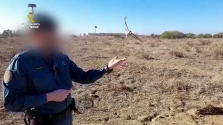 La Guardia Civil libera 68 aves fringílidas e investiga a 11 personas por su captura ilegal