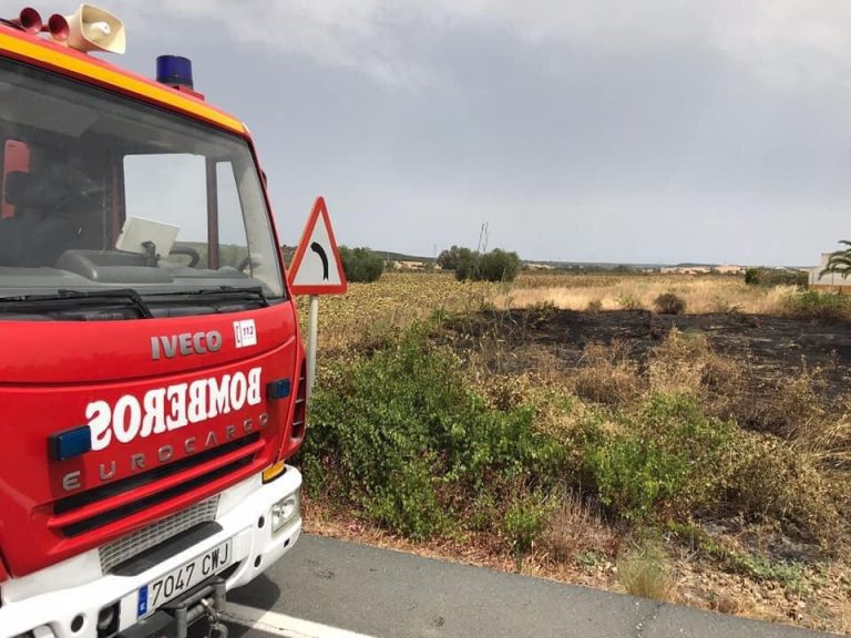 Rescatan en Aracena un caballo que había quedado atrapado en una alambrada